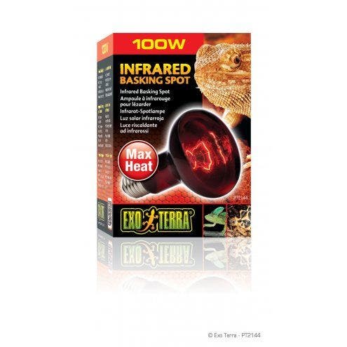 Exo Terra 100W Infrared Basking Lamp