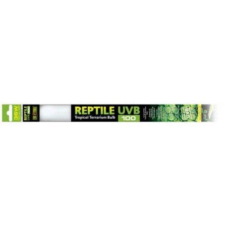 Exo Terra 36W UV100 Fluorescent Bulb