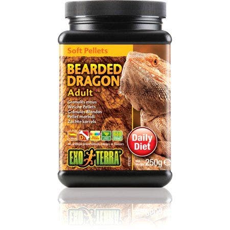 Exo Terra 8.8oz Adult Bearded Dragon