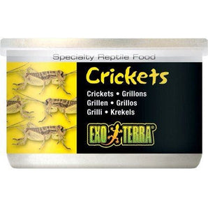 Exo Terra 1.2oz Crickets