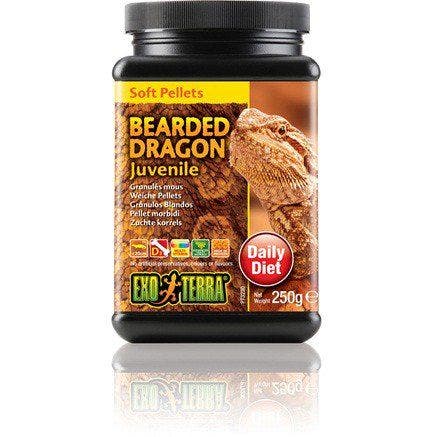 Exo Terra 8.8oz Juvenille Bearded Dragon