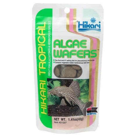 Hikari Tropical Algae Wafers 1.41oz