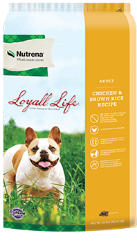 Loyall life puppy food best sale near me