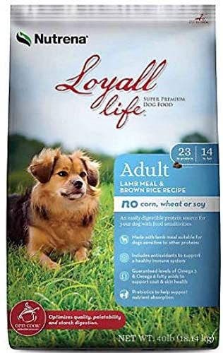 Loyall Life 40lb Adult lamb and brown rice dog food