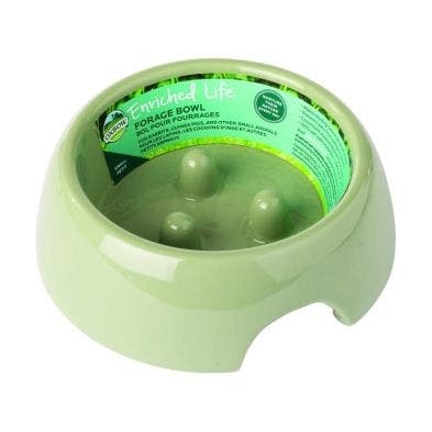 Oxbow forage bowl small light green small animal