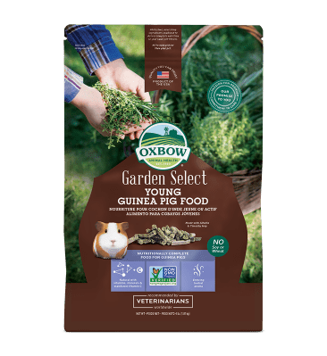 Oxbow garden select 4lb young guinea pig small animal
