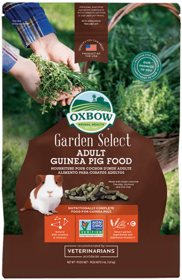 Oxbow garden select 4lb adult guinea pig small animal