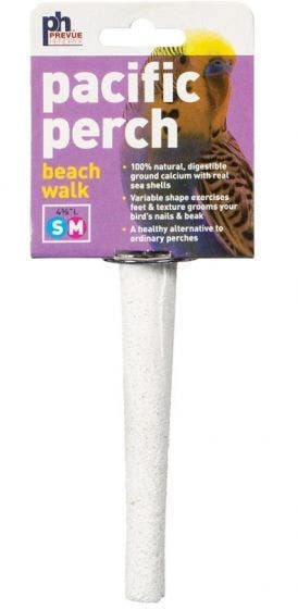 Prevue Hendryx beach walks medium bird