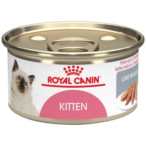 Royal Canin Kitten Thin Slices In Gravy Canned Cat Food, 3 oz