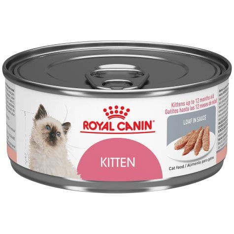 Royal Canin Feline Care Nutrition Intense Beauty Loaf In Sauce Canned Cat Food, 5.1 oz