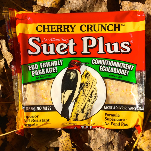 Suet Plus cherry crunch suet plus bird