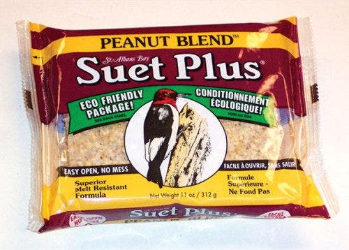 Suet Plus peanut blend suet plus bird