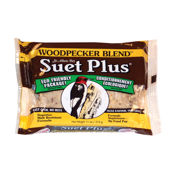 Suet Plus woodpecker blend suet plus bird