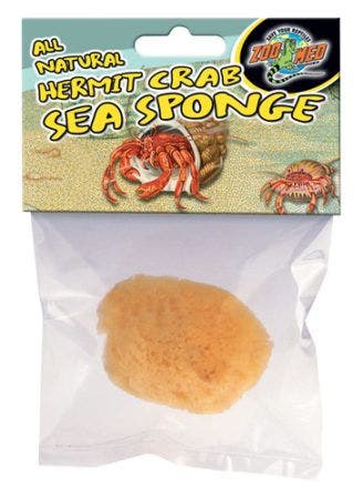 Zoomed Hermit Crab Sponges