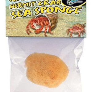Zoomed Hermit Crab Sponges