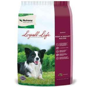 Loyall Life 40lb Adult Beef and Barley Dog Food