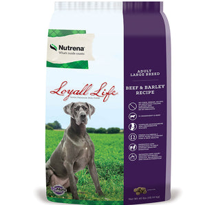 Loyall Life 40lb Adult Large Breed Beef and Barley Dog Food