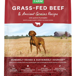 Open Farm Grass-Fed Beef & Ancient Grains Dry Dog Food 22lb