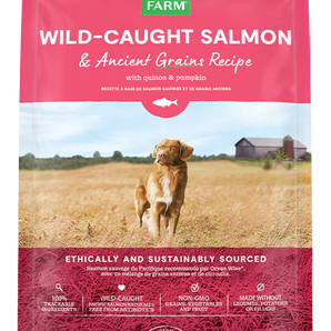 Open Farm Wild-Caught Salmon & Ancient Grains Dry Dog Food 22lb