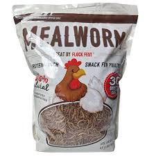 30oz Dried Mealworms