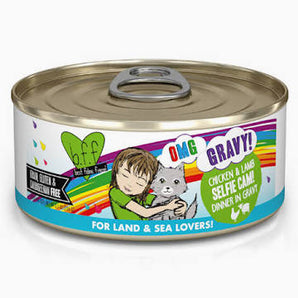 Weruva BFF OMG GRAVY 5.5oz Cat Chicken & Lamb Selfie Cam! Dinner in Gravy
