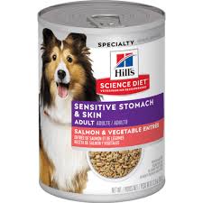Science Diet 12.8oz Sensitive Stomach Salmon