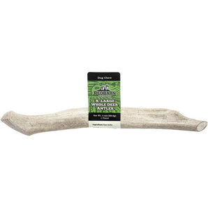 RedBarn X Large Whole Deer Antler