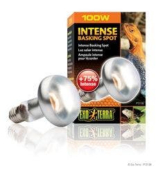 Exo Terra 100W Intense Basking Lamp