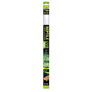 Exo Terra 15W UVB100 Fluorescent Bulb