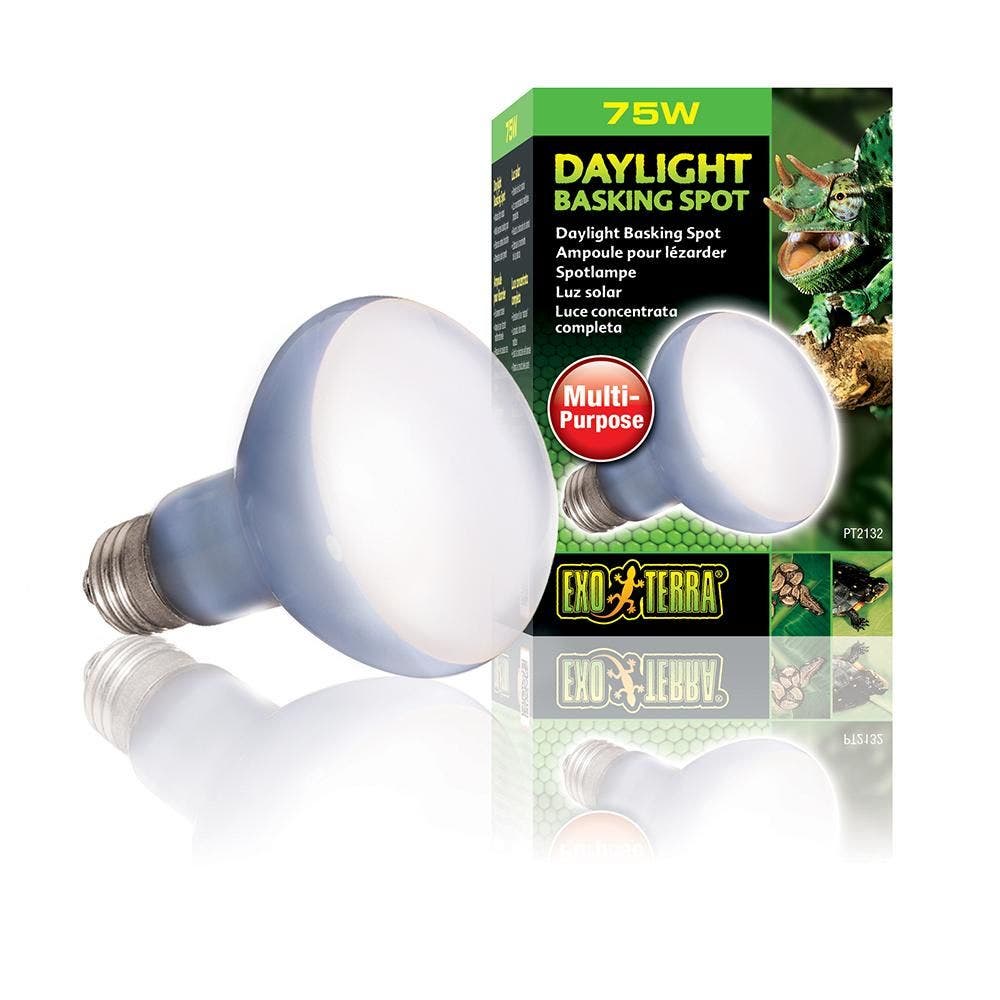 Exo Terra 75W Daylight Basking Spot Lamp