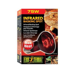 Exo Terra 75W Infrared Basking Lamp