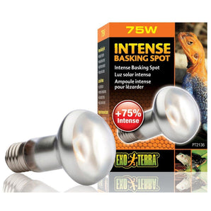 Exo Terra 75W Intense Basking Lamp