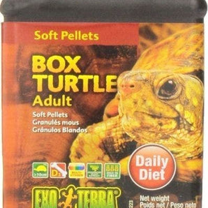 Exo Terra 8.5oz Adult Box Turtle