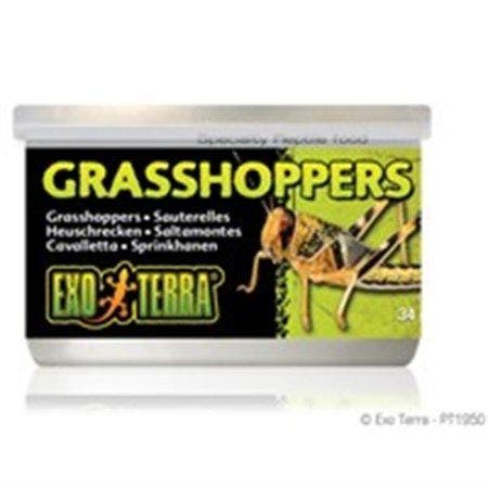 Exo Terra 1.2oz Grasshoppers