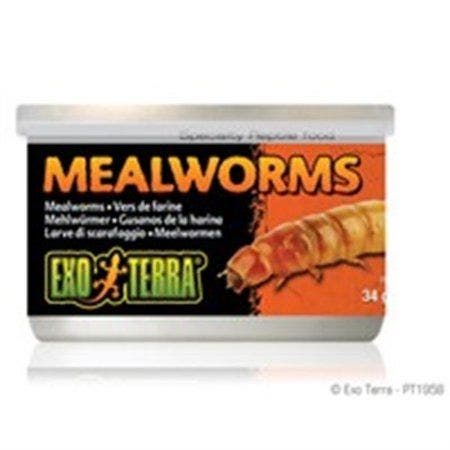 Exo Terra 1.2oz Meal Worms