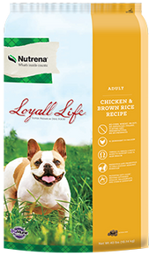 Loyall Life All Life Stage Chicken and Brown Rice Dog Food 40lb