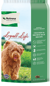 Loyall Life Adult Large Breed Chicken and Brown Rice Dog Food 40lb
