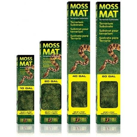 Exo Terra 10 Gallon Moss Mat