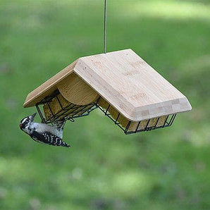 Perky Pet bamboo double suet loft feeder bird