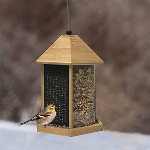 Perky Pet bamboo trio feeder bird