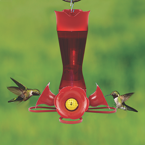 Perky Pet hummingbird feeder pinch waist plastic bird