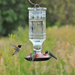Perky pet antique glass hummingbird feeder clear feeder bird