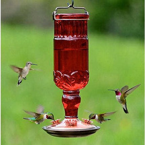 Perky Pet antique hummingbird feeder red bird