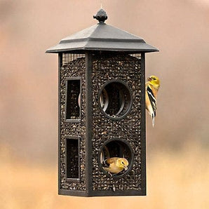 Perky Pet fly through feeder bird