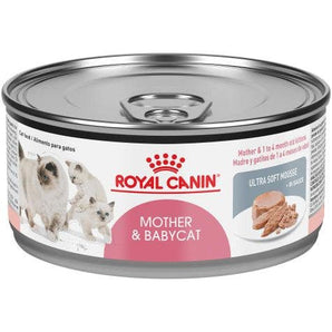 Royal Canin Mother & Babycat Ultra Soft Mousse in Sauce 5.1oz Cat Food