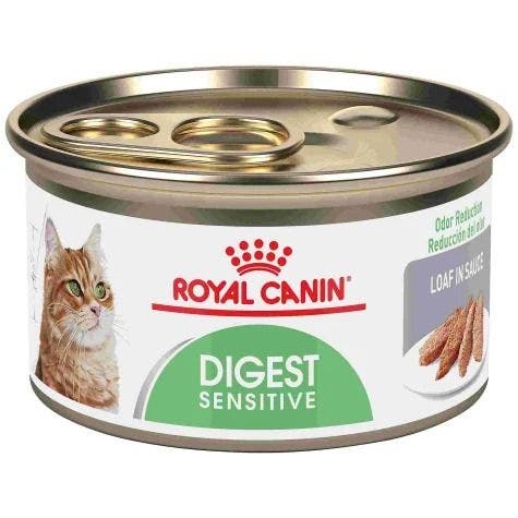 Royal Canin Feline Care Nutrition Digest Sensitive Loaf In Sauce Canned Cat Food, 5.1 oz