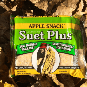 Suet Plus apple snack suet plus bird
