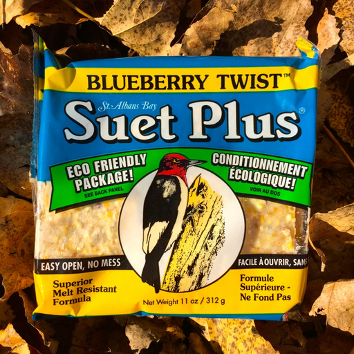 Suet Plus blueberry twist suet plus bird