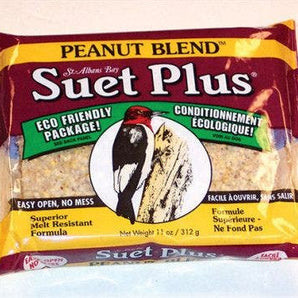 Suet Plus peanut blend suet plus bird