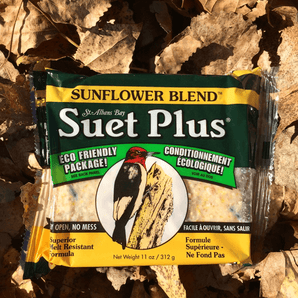 Suet Plus sunflower blend suet plus bird